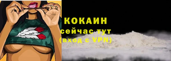 гашик Щигры