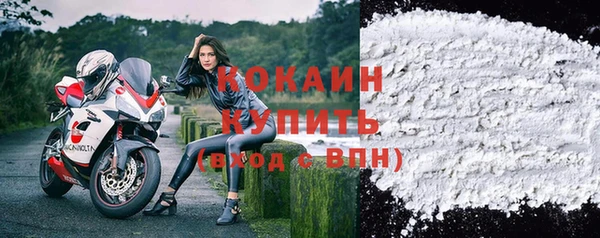 гашик Щигры