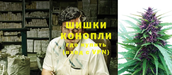 гашик Щигры