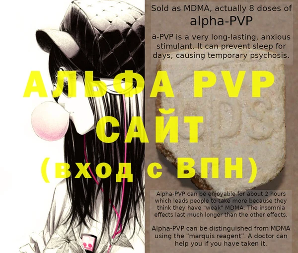 стафф Тосно