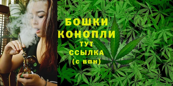 сатива Тотьма