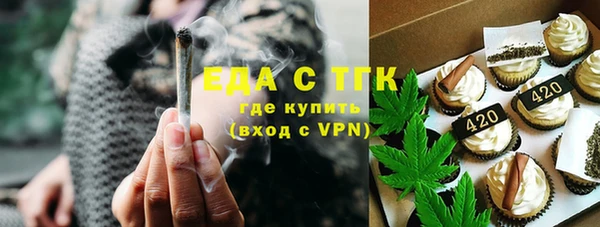 стафф Тосно