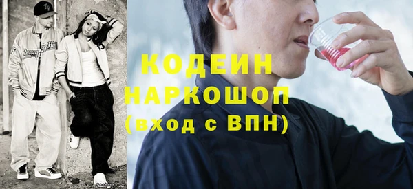 стафф Тосно