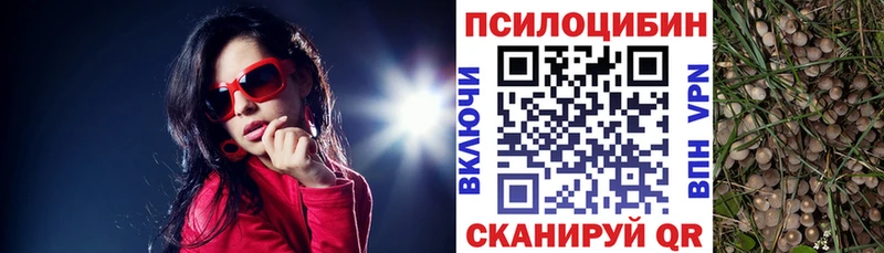 OMG как зайти  Ульяновск  Псилоцибиновые грибы GOLDEN TEACHER 
