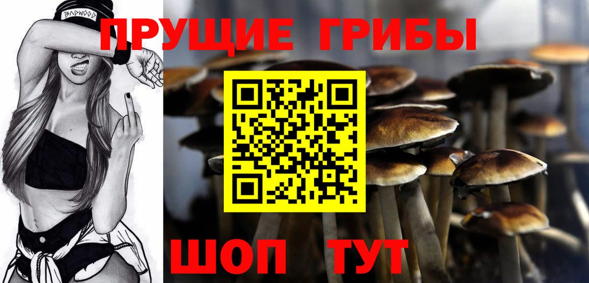 Ульяновск  Псилоцибиновые грибы GOLDEN TEACHER  Вход с VPN 